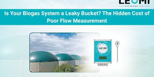 Biogas flow meters