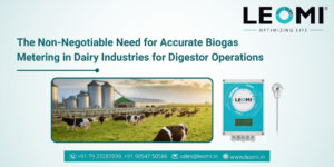 Biogas Flow Meter